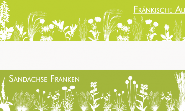 INTERNATIONALER ULMER-PREIS 2015 ENTSCHIEDEN