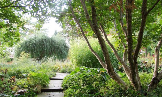 Berggarten in Hannover