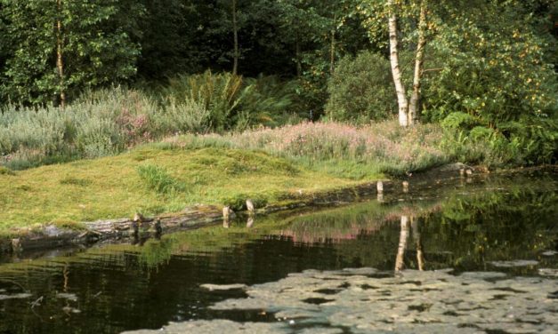 Heempark in Amstelveen