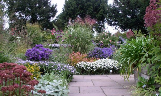 Karl-Foerster-Garten in Bornim