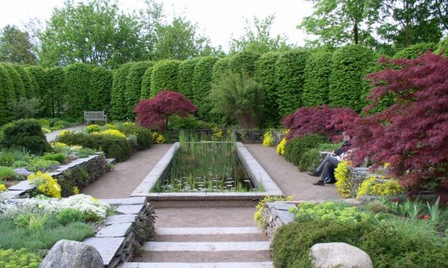 Britzer Garten in Berlin