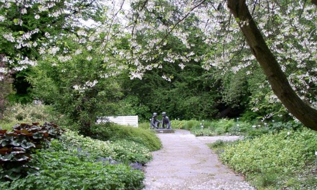 Freundschaftsinsel in Potsdam