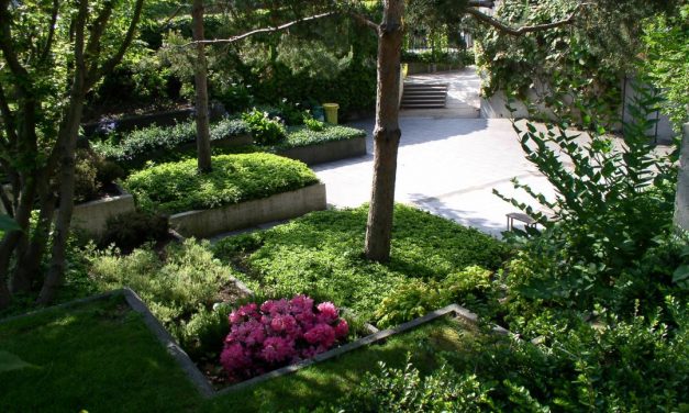 Parc André Citroen in Paris