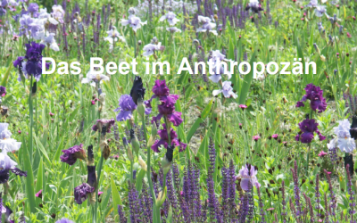 Summer School 2025 an der Hochschule Osnabrück