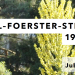 60 Jahre Karl-Foerster-Stiftung: Wir feiern Jubiläum!